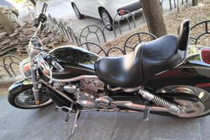 Harley davidson VROD 1250 vrscaw 2008