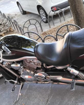 Harley davidson VROD 1250 vrscaw 2008