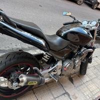 Honda hornet 600