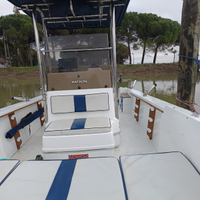 Wellcraft barca da pesca