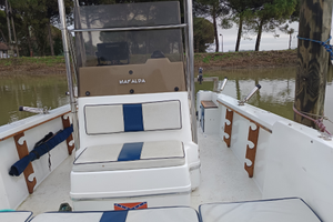 Wellcraft barca da pesca