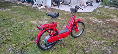 Ciao px fl.