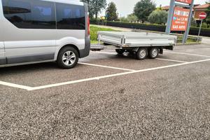 Traffico con Carello 