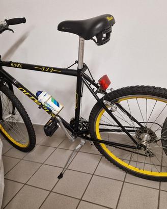 bicicletta sportiva 