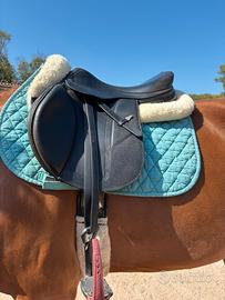 Sella equipe