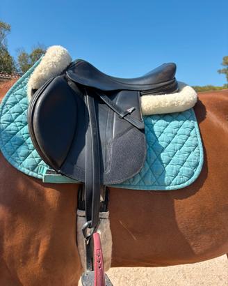 Sella equipe