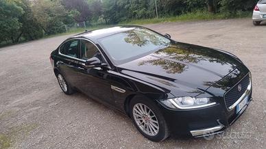 Jaguar Xf anno 2019