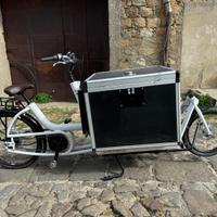 E-BIKE CARGO NUOVA