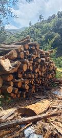 legna da ardere per caminetto e stufa 
