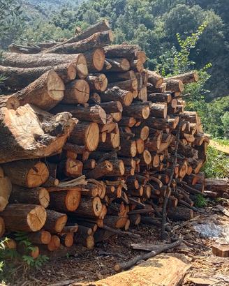 legna da ardere per caminetto e stufa 