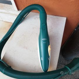 picchio della folletto 