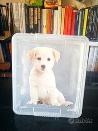 Scatola portaoggetti Kis made in italy puppies