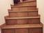 Immagine 14