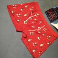 Boxer bimbo Natale