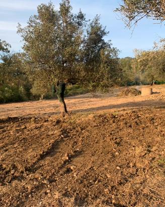 Terreno con rudere