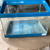 Vaschetta acquario  pesci o tartarughe acqua