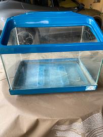 Vaschetta acquario  pesci o tartarughe acqua