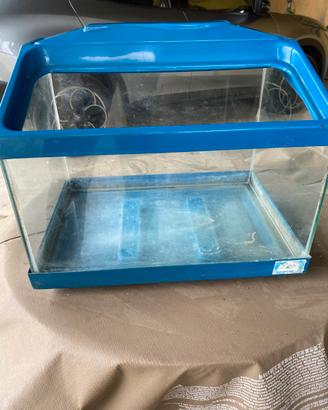 Vaschetta acquario  pesci o tartarughe acqua