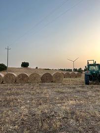 Mix di Foraggio