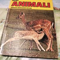 i grandi libri  6 volumi 