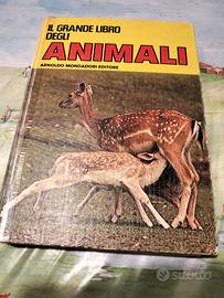 i grandi libri  6 volumi 