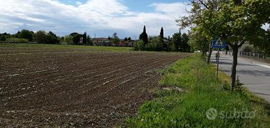 Terreni edificabili + agricoli con accesso diretto