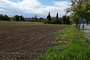 Terreni edificabili + agricoli con accesso diretto