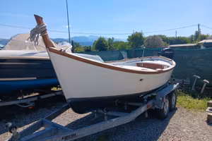 GOZZO RUOCCO 5 MT MERCURY 20CV 4 TEMPI