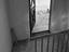 Immagine 14