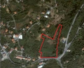 Terreno Agricolo con pozzo in località Munafò