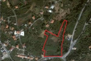 Terreno Agricolo con pozzo in località Munafò