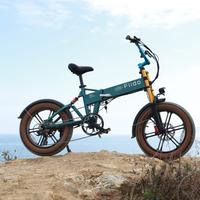 FIIDO M1 PRO 2025 E BIKE FAT BIKE