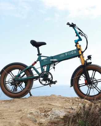 FIIDO M1 PRO 2025 E BIKE FAT BIKE