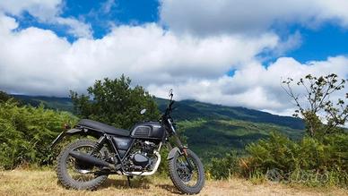 Brixton Felsberg 125 - 2020