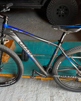 Giant tg29L