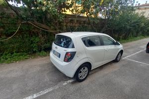 tenuta in buone condizioni adatta anche per i neop