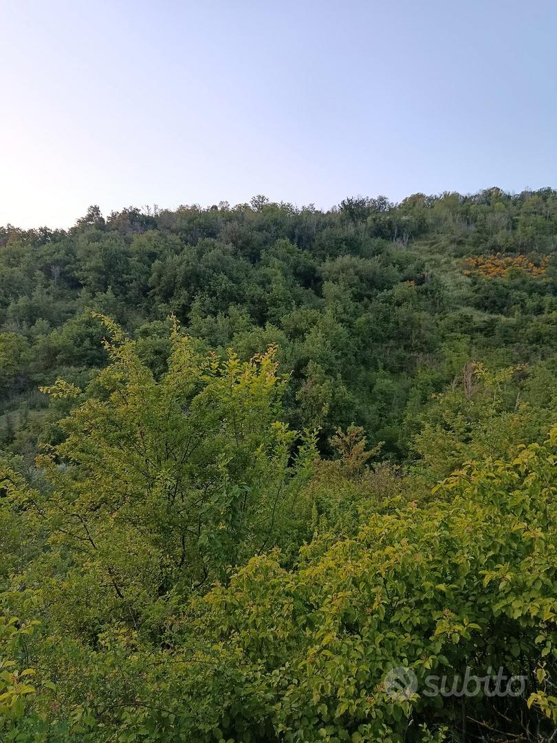 Casa con terreno (ampliamento mq 300) - Vista 4