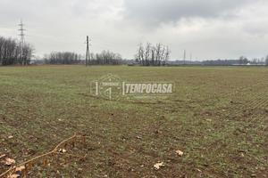 TERRENO AGRICOLO BORSANO