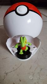 Sfera Pokemon con personaggio