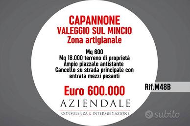 Immobile di 600 m² a Valeggio sul Mincio