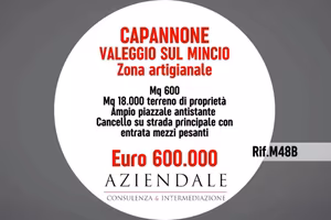 Immobile di 600 m² a Valeggio sul Mincio