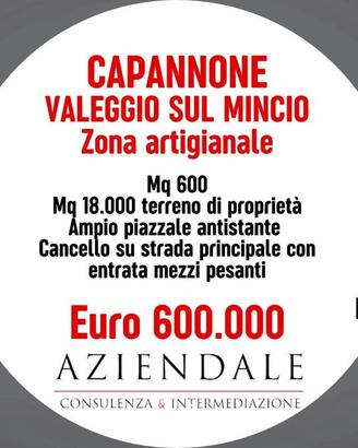 Immobile di 600 m² a Valeggio sul Mincio