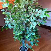 Pianta artificiale 🍃