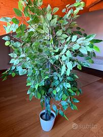 Pianta artificiale 🍃