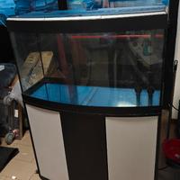 Acquario Askoll Tenerife Sinuo 150+filtro+luci LED