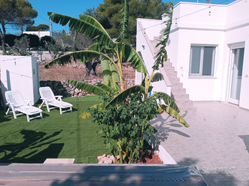 Villetta fra Gallipoli e Otranto con giardino