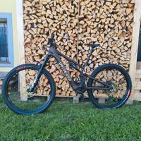 E-MTB Specialized