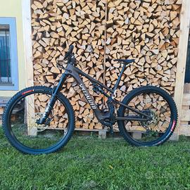 E-MTB Specialized