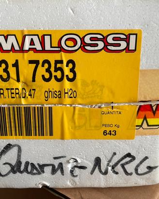 Kit Malossi h2o per piaggio Nrg zip, aprilia sr