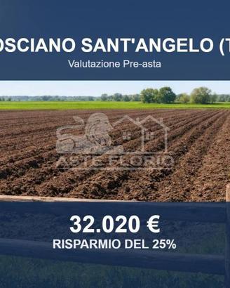 Immobile in asta di 20096 m² a Mosciano Sant'Angel
